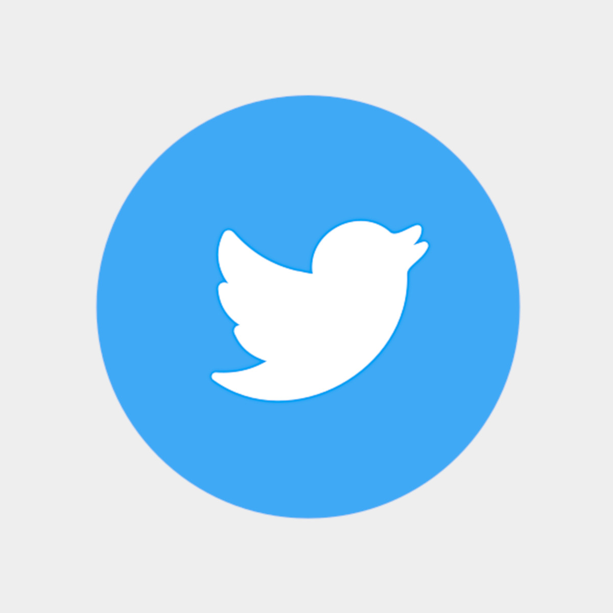 Twitter Social Icon